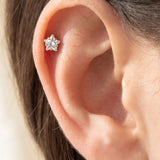 Stern Piercing