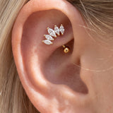 Crown Piercings