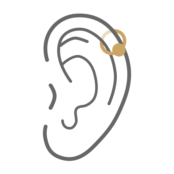 Helix Piercing PiercingXXL helix-piercing-piercingxxl