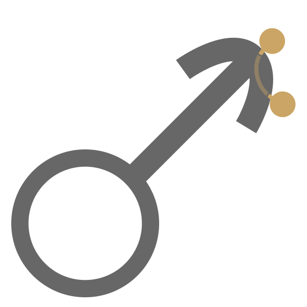 prince-albert-piercing-piercingxxl