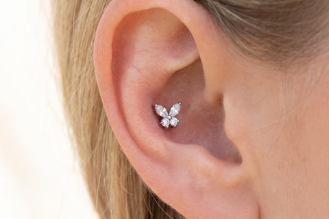 Piercing Conch Papillon