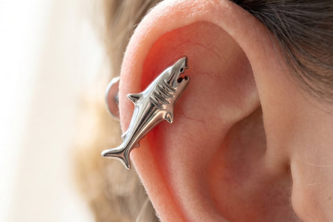 Titanium Helix Piercing