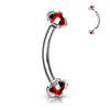 Silver/Red