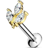 Plants Piercing