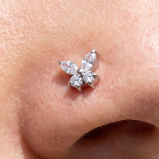 Butterfly Nose Piercings – selection on linen