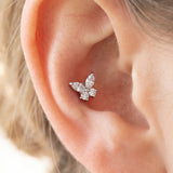 Schmetterling Piercing