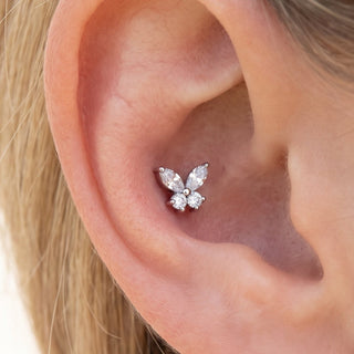 Butterfly Conch Piercings – selection on linen