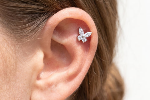 Piercing Helix Papillon