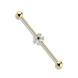 Industrial Barbell Blume Zirkonia