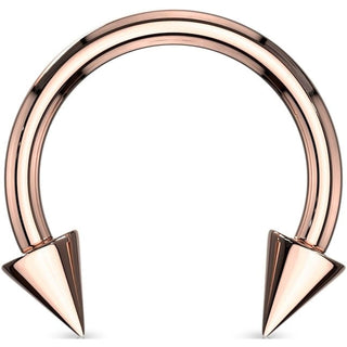 Horseshoe Spike rose