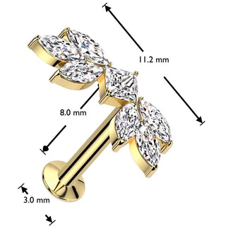 Labret falling leaves zirconia marquise cut Push-In