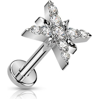 Titanium Earring cubic zirconia pave starburst Push-In