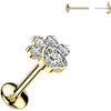 Titanium Labret paw zirconia Push-In