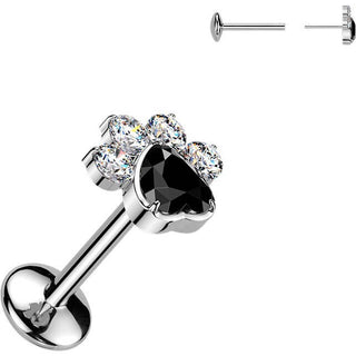 Titanium Labret paw zirconia Push-In