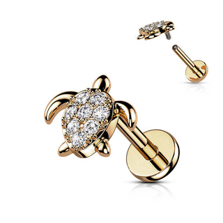 Labret Turtle Zirconia Internally Threaded