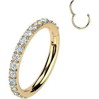 Titanium Ring moissanite Segment