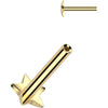 Titanium Labret pin star base Push-In