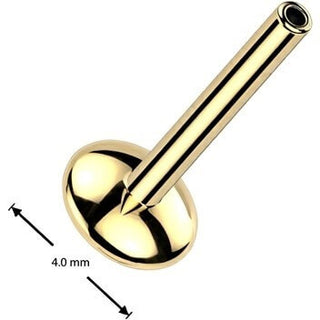 Titanium 4mm convex base Push-In