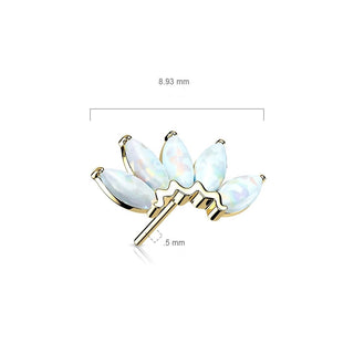 Solid Gold 14 Carat top 5 opals marquise cut Push-In