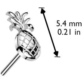 Or 14kt Embout embout en forme d'ananas Enfoncer