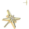 Titanium top cubic zirconia centered starburst Push-In