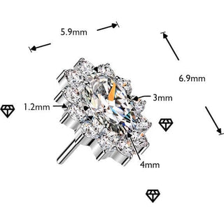 Titanium Top Top Oval Zirconia Pave Edge Push-In