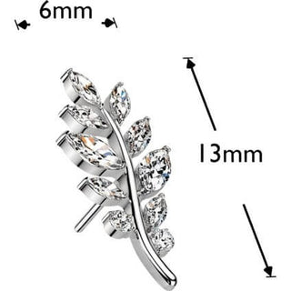 Titanium Top top olive leaf zirconia Push-In