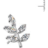 Titanium top leaf zirconia Push-In