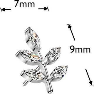 Titanium top leaf zirconia Push-In