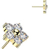 Titanium top 5 zirconia flower Push-In