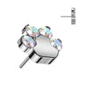 Titanium Top top paw zirconias Push-In