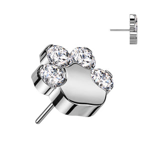 Titanium Top top paw zirconias Push-In