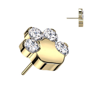 Titanium Top top paw zirconias Push-In