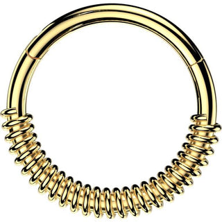 Ring Spring Coil Segment