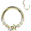 Ring stars zirconia Segment
