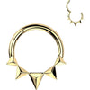 Ring pyramids Segment