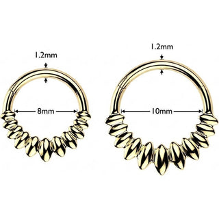 Ring fan Segment