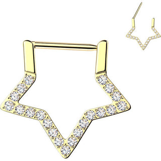 Titanium Ring star zirconia Segment