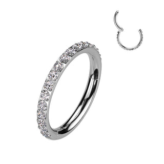 Titanium Ring Zirconia Segment