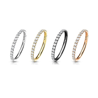 Titanium Ring Zirconia Segment