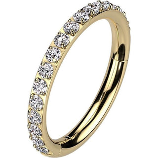 Titanium Ring Zirconia Segment