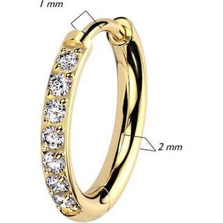 Titanium Earring zirconia Clicker
