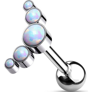 Titan Barbell 5 Opal Silber Innengewinde
