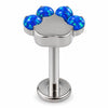 Titanium Labret Animal Paw Print Internally Threaded