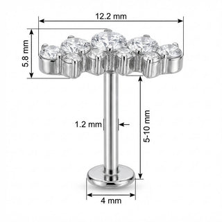 Titanium Labret Graduated Crystal Curve Cluster