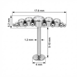 Titanium Labret Curved Crystal Cluster With Beads