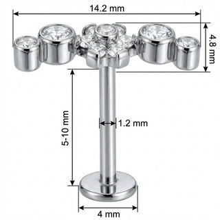 Titanium Labret Crystal Flower Curved Cluster Internally Threaded