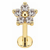 Titanium Labret Clear Crystal Flower Blossom Internally Threaded