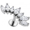 Titanium Labret Curved Marquise Crystal Vine Arc