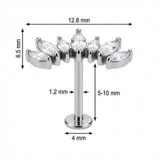 Titanium Labret Curved Marquise Crystal Vine Arc